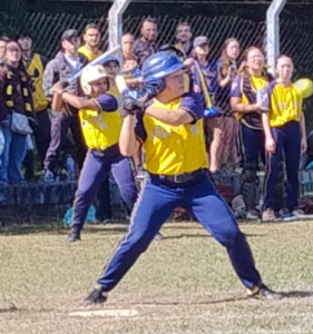 ENQUANTO O BRASIL PARA PARA A POLÍTICA, O BEISEBOL E O SOFTBOL DE BASE LHE DÃO UMA LIÇÃO DE VOLUNTARIADO E COMPROMISSO
