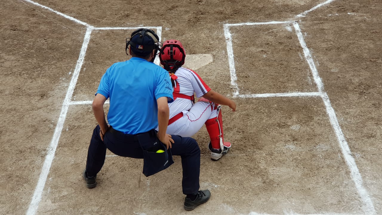 Árbitros Voluntários de Beisebol e Softbol no Brasil: O Compromisso com a Excelência