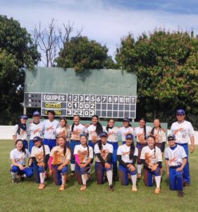 Procure um time para jogar Softbol ou Beisebol