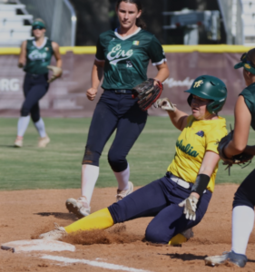 A WBSC comenta o que aconteceu neste 3 dia de competições